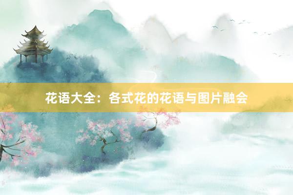 花语大全：各式花的花语与图片融会