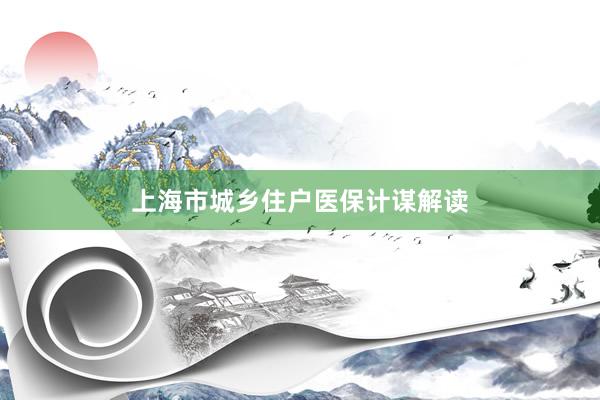 上海市城乡住户医保计谋解读