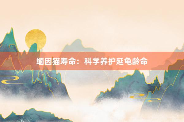 缅因猫寿命：科学养护延龟龄命